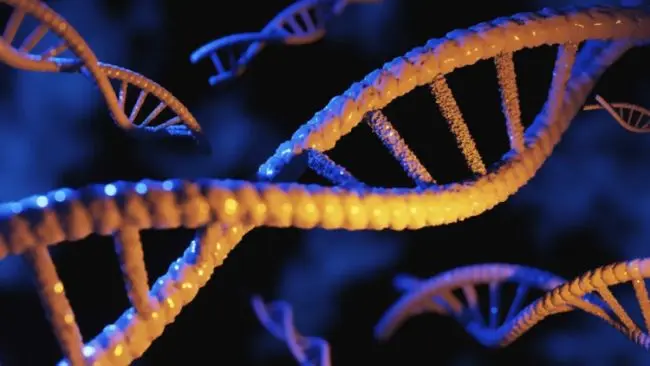 Научный прорыв: Искусственный интеллект впервые создал работающий геном "с нуля"